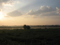 Sonnenaufgang in der Wagbachniederung. Erlebt auf der Exkursion "Wagbachniederung im Sommer", Foto: Brigitte Kohl