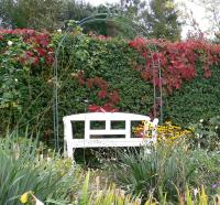 Gartendetail im Herbst im Kurs Lebendige Gartengestaltung; Foto Gaby  Borlinghaus